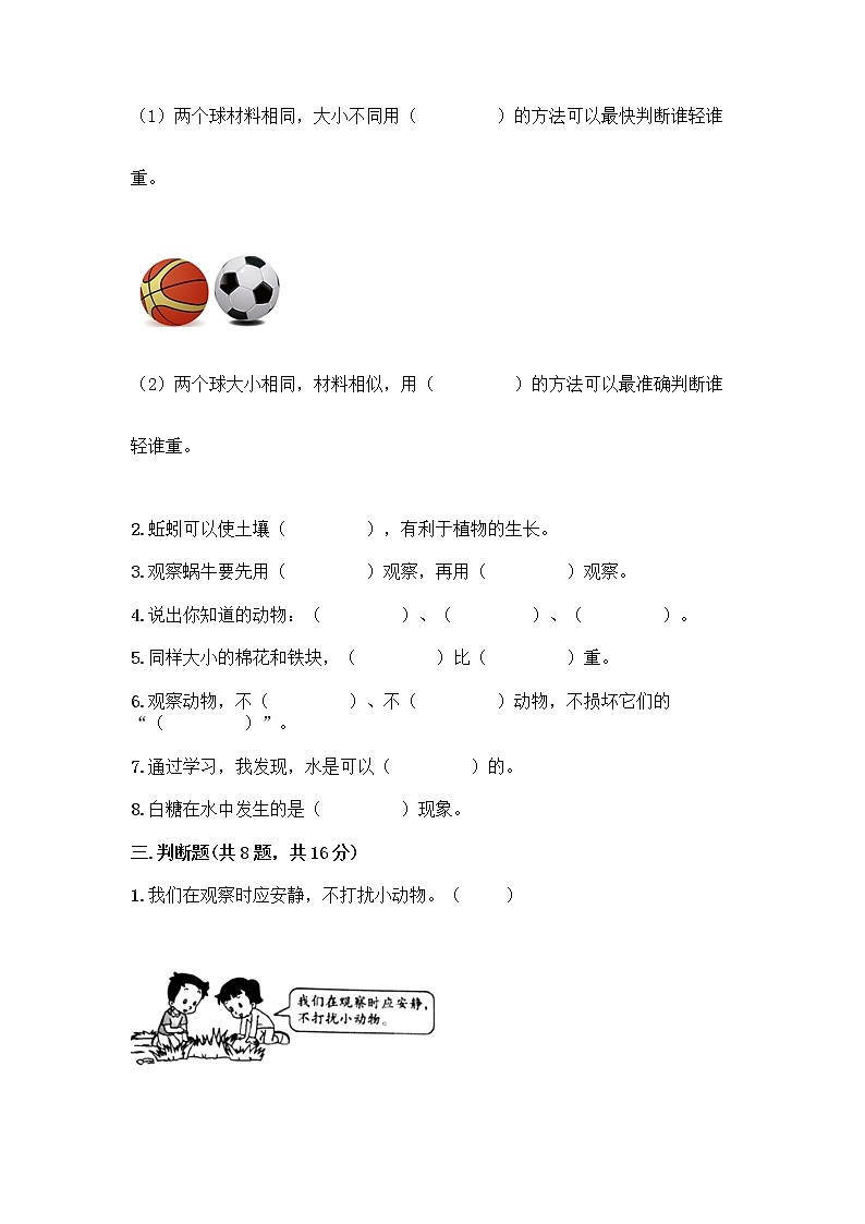 教科版一年级下册科学期末测试卷及答案（必刷）及答案（名师系列）03