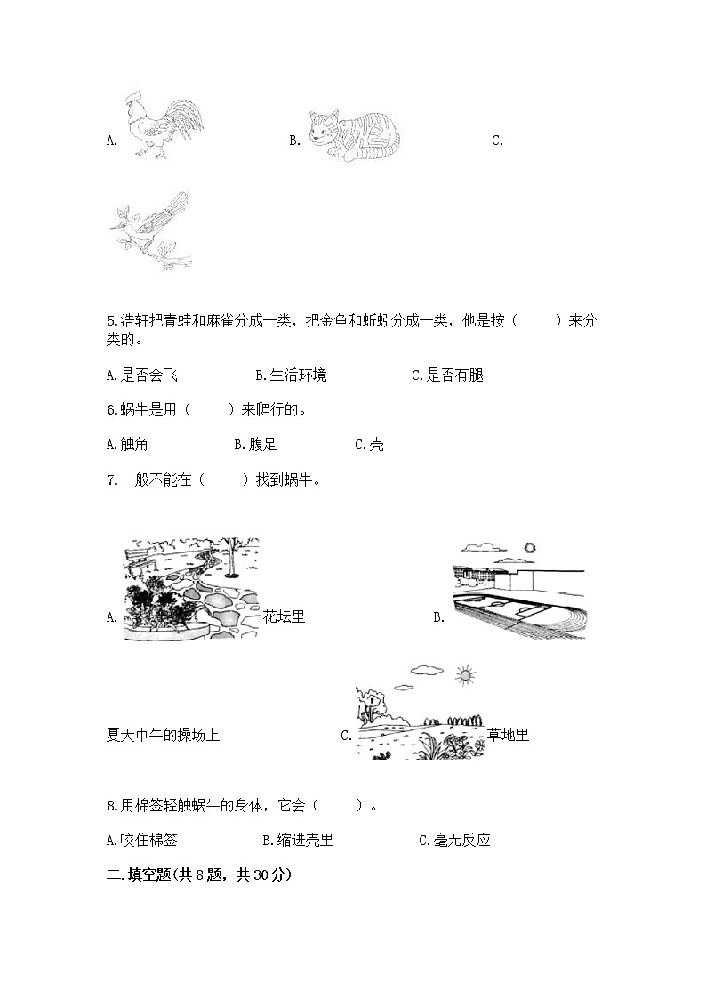 教科版一年级下册科学期末测试卷及答案（基础+提升）及答案（精品）02