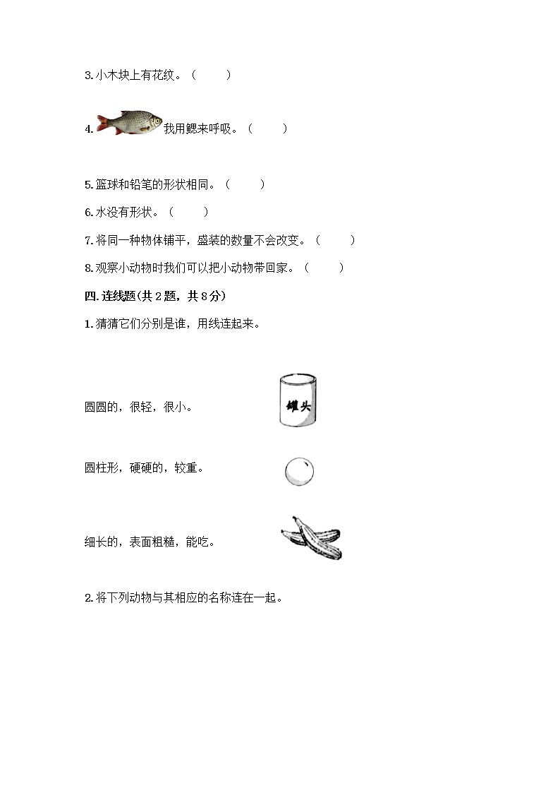 教科版一年级下册科学期末测试卷及答案（全国通用）（精练）03