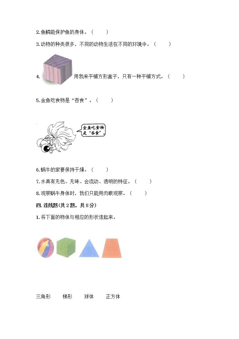 教科版一年级下册科学期末测试卷及完整答案一套第3页