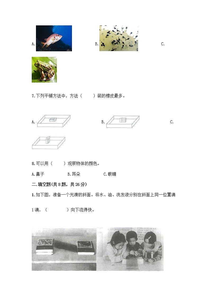 教科版一年级下册科学期末测试卷及免费下载答案02