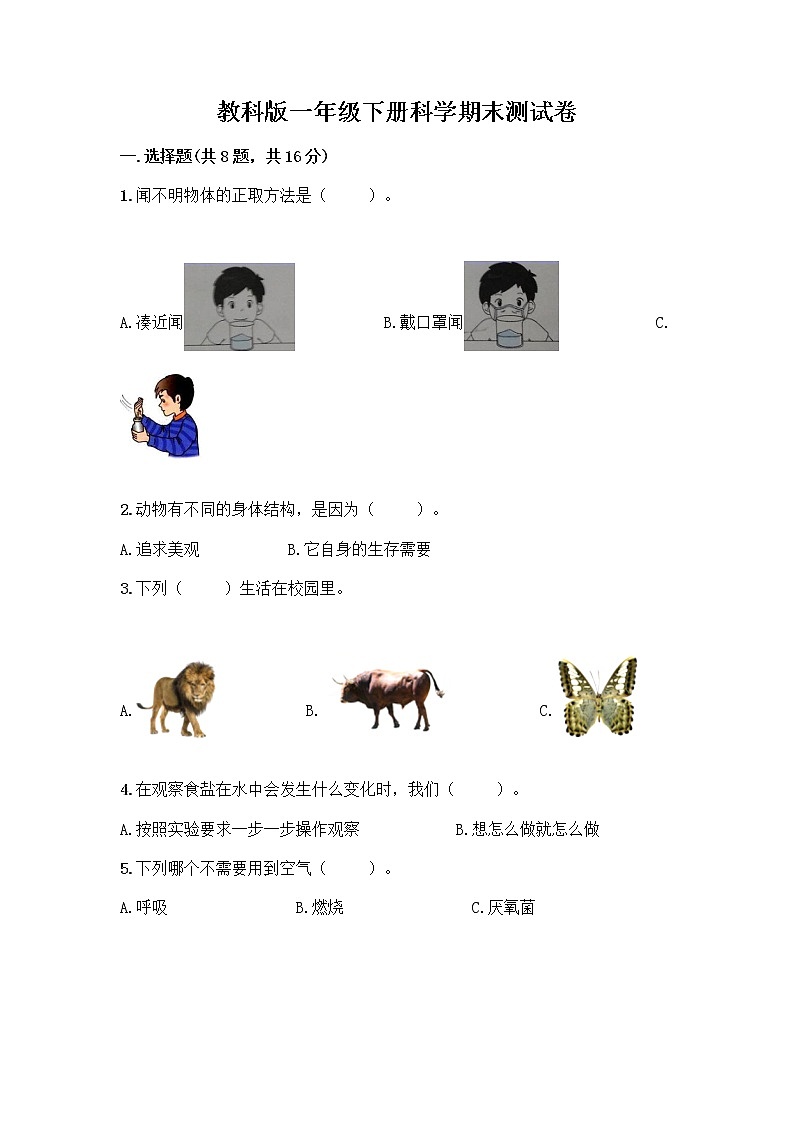 教科版一年级下册科学期末测试卷精编答案第1页