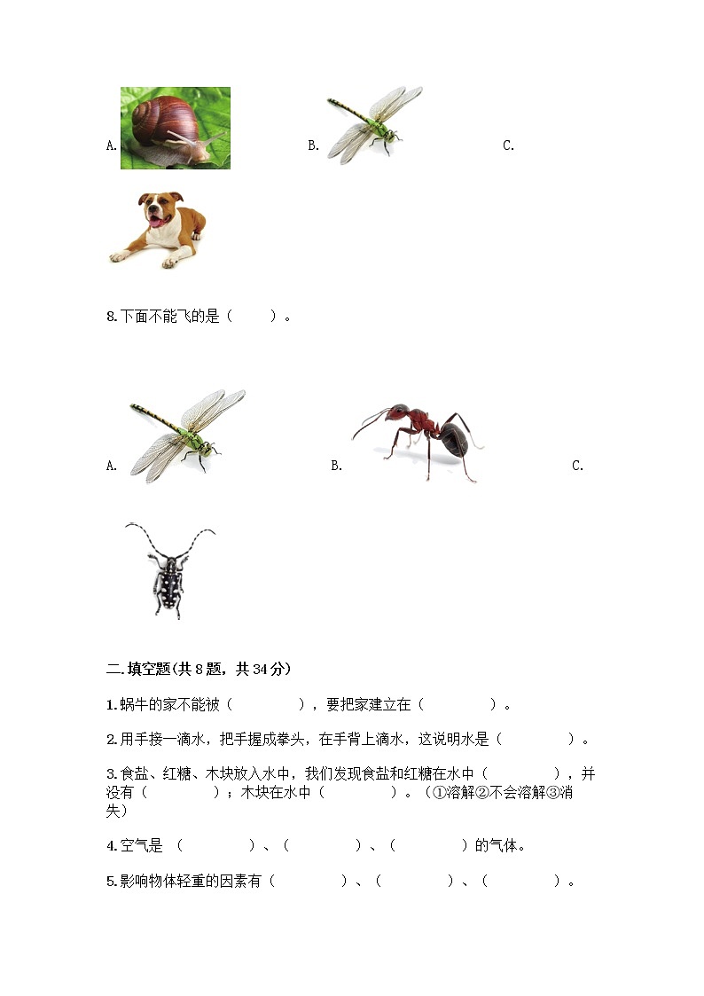 教科版一年级下册科学期末测试卷及答案下载第2页