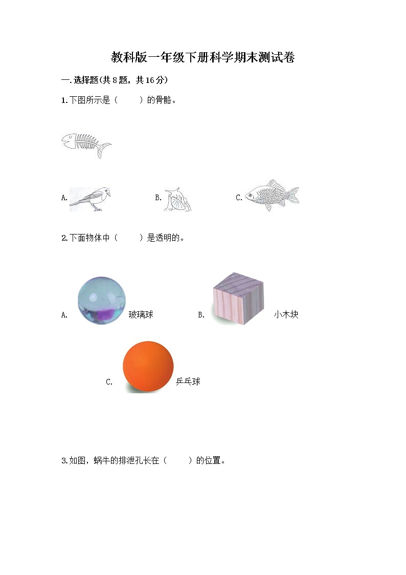 教科版一年级下册科学期末测试卷及完整答案第1页