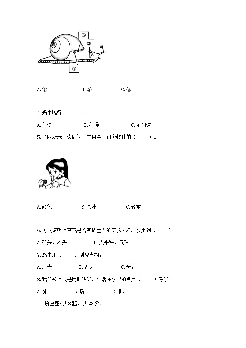教科版一年级下册科学期末测试卷及完整答案第2页