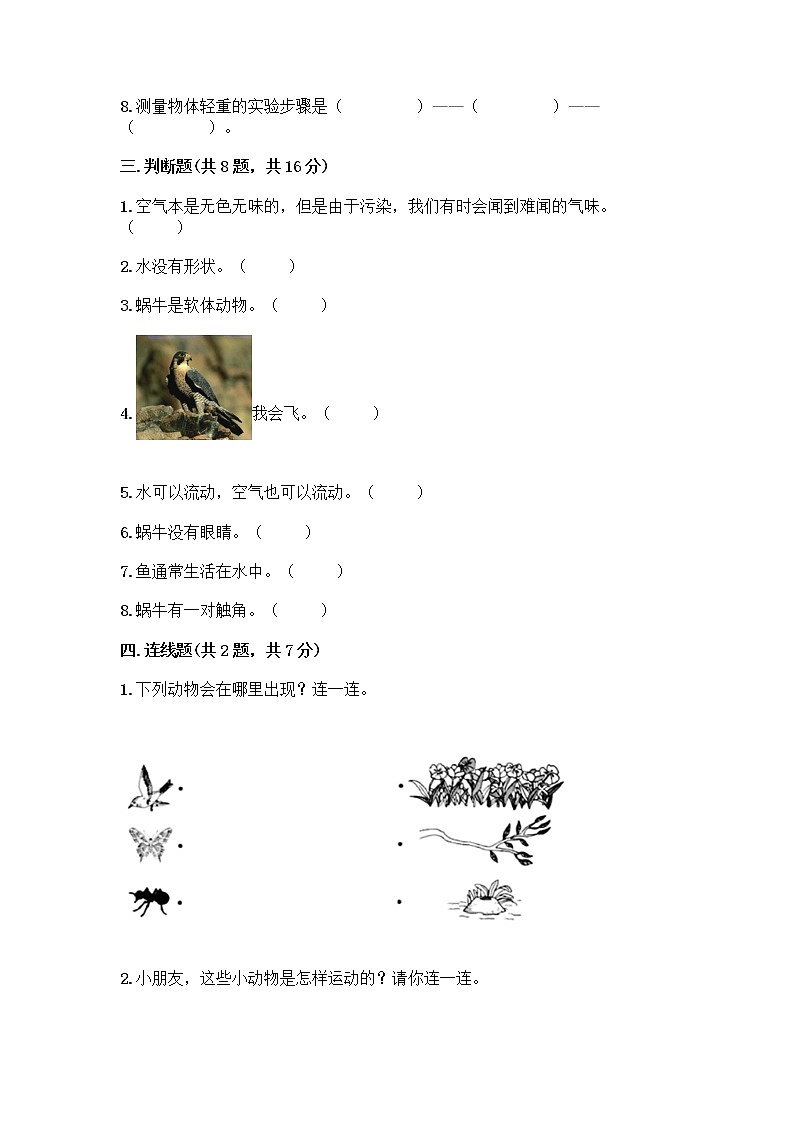 教科版一年级下册科学期末测试卷加精品答案03