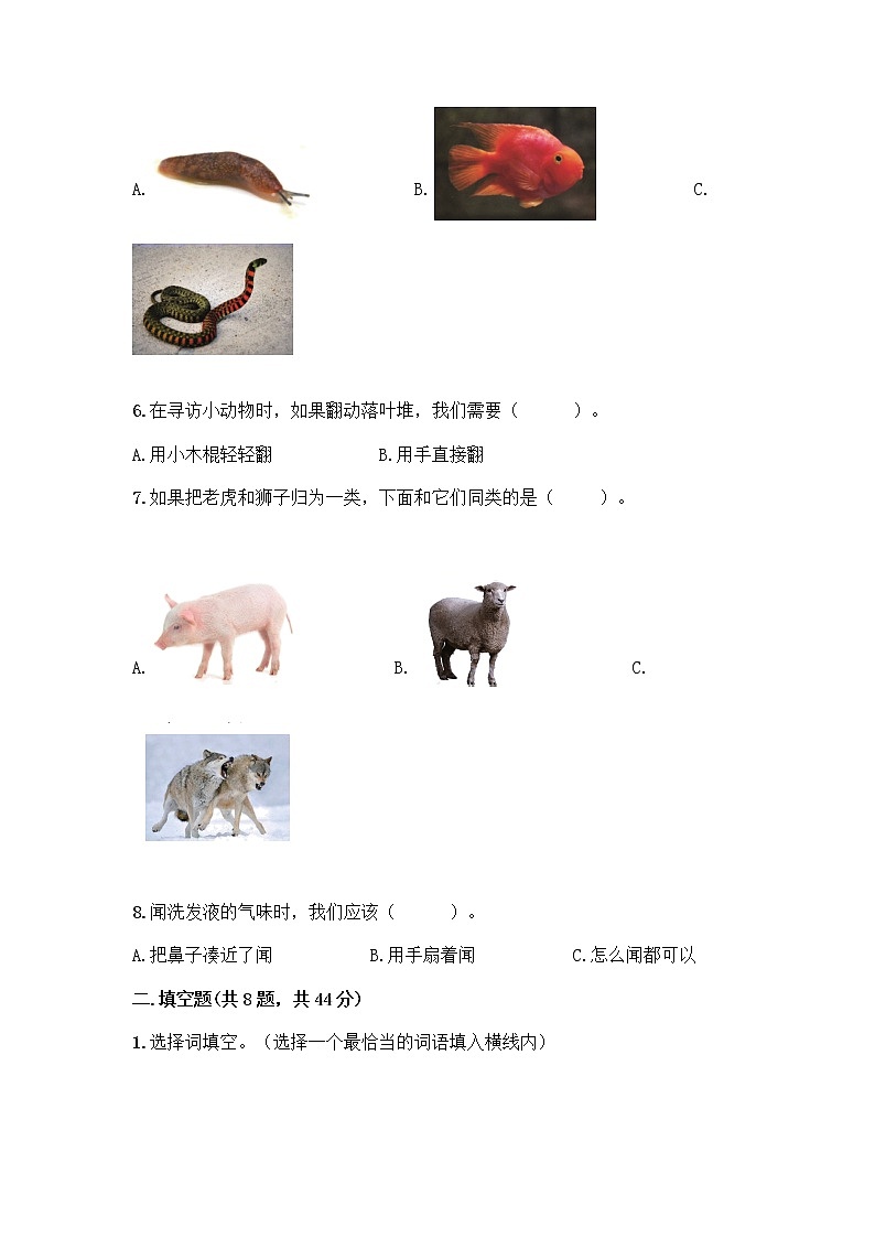 教科版一年级下册科学期末测试卷精品带答案02