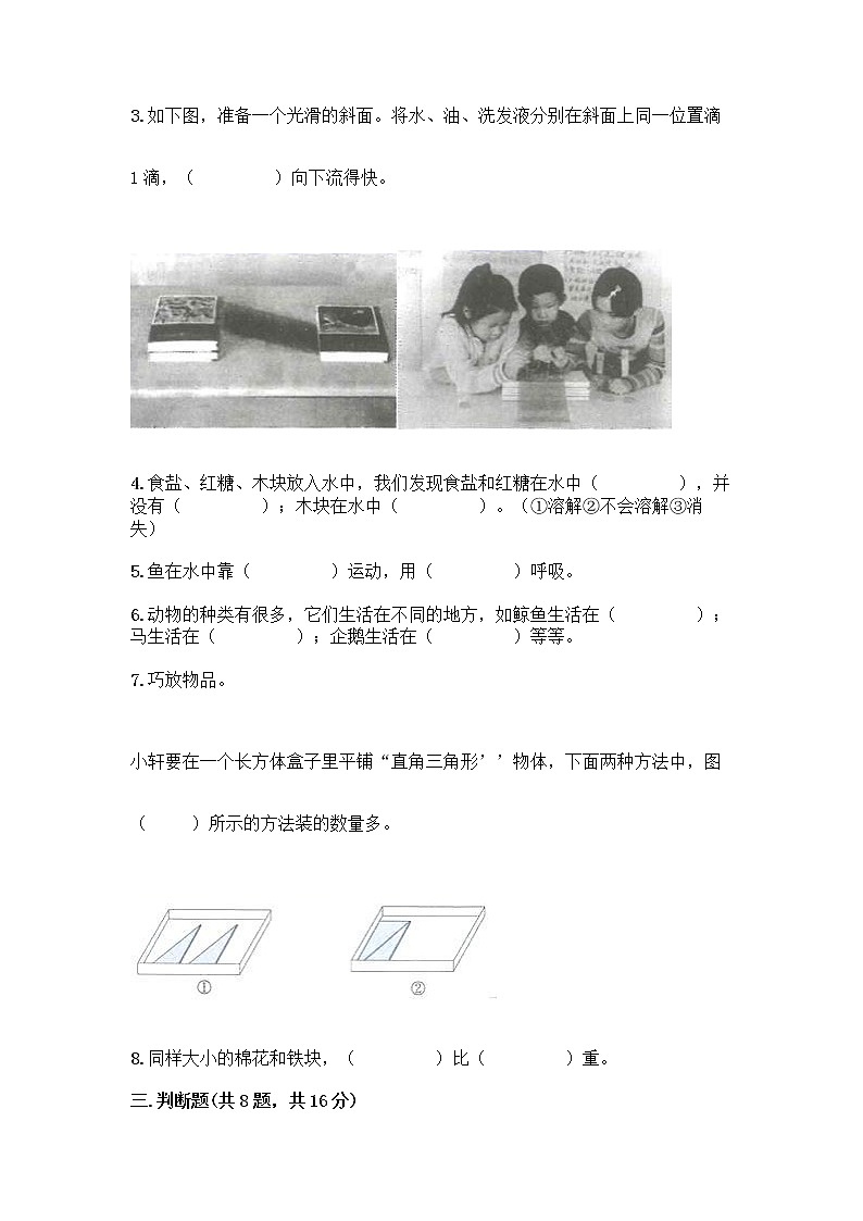 教科版一年级下册科学期末测试卷（网校专用）03