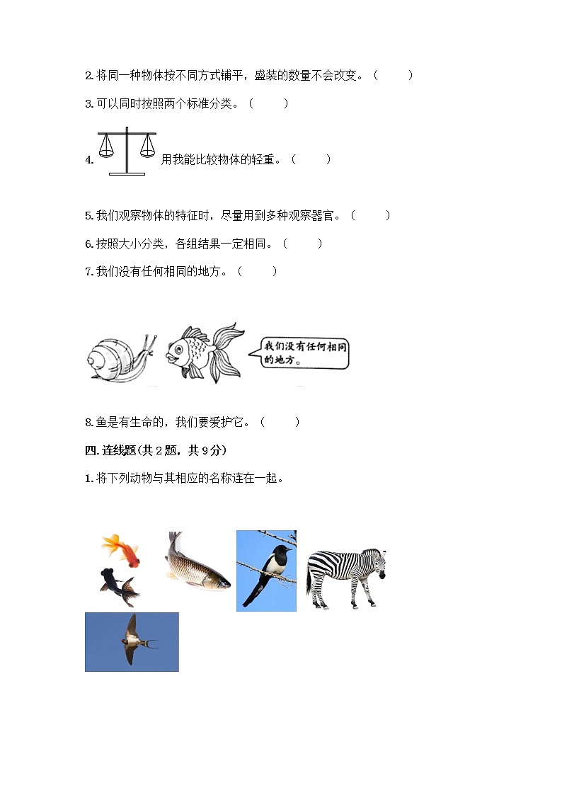 教科版一年级下册科学期末测试卷标准卷第3页