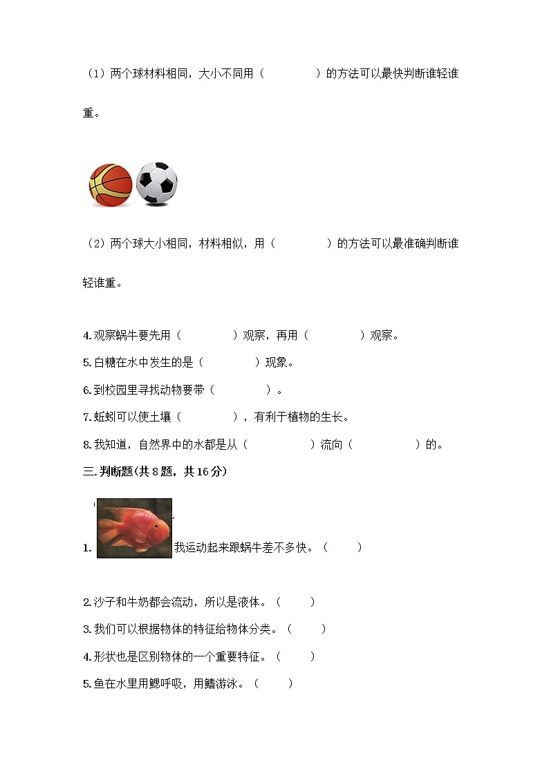 教科版一年级下册科学期末测试卷精品加答案03