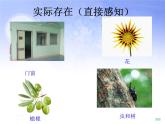 教科版（2001）科学六年级下册 2.1 我们身边的物质  课件
