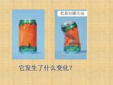 教科版（2001）科学六年级下册 2.1 我们身边的物质_ 课件