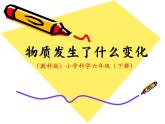 教科版（2001）科學(xué)六年級(jí)下冊(cè) 2.2 物質(zhì)發(fā)生了什么變化 課件