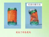 教科版（2001）科学六年级下册 2.2 物质发生了什么变化(1) 课件