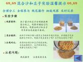 教科版（2001）科學(xué)六年級下冊 2.2 物質(zhì)發(fā)生了什么變化(3) 課件
