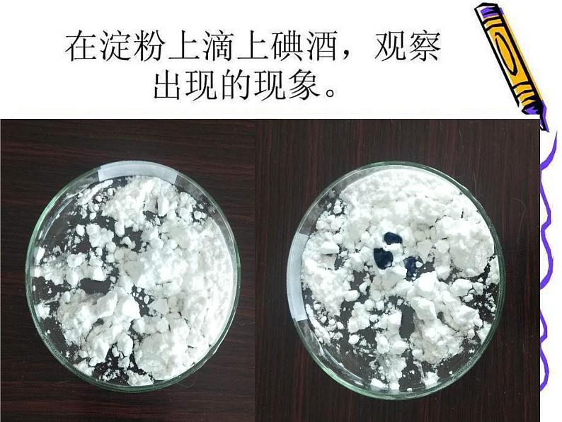 教科版（2001）科学六年级下册 2.3 《米饭、淀粉和碘酒的变化》 课件第5页