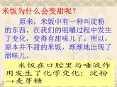 教科版（2001）科学六年级下册 2.3 《米饭、淀粉和碘酒的变化》 课件