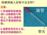 教科版（2001）科学六年级下册 2.3 《米饭、淀粉和碘酒的变化》 课件