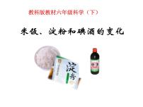 小学科学教科版六年级下册3、米饭、淀粉和碘酒的变化背景图课件ppt