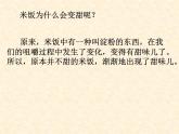 教科版（2001）科学六年级下册 2.3 《米饭、淀粉和碘酒的变化》 (1) 课件