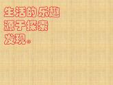 教科版（2001）科学六年级下册 2.3 《米饭、淀粉和碘酒的变化》3 课件