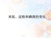 教科版（2001）科学六年级下册 2.3 米饭、淀粉和碘酒的变化 课件