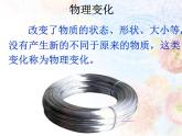 教科版（2001）科学六年级下册 2.3 米饭、淀粉和碘酒的变化 课件