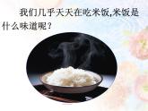 教科版（2001）科学六年级下册 2.3 米饭、淀粉和碘酒的变化 课件