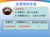 教科版（2001）科学六年级下册 2.3 米饭、淀粉和碘酒的变化() 课件