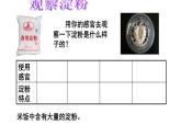 教科版（2001）科学六年级下册 2.3 米饭、淀粉和碘酒的变化(1) 课件