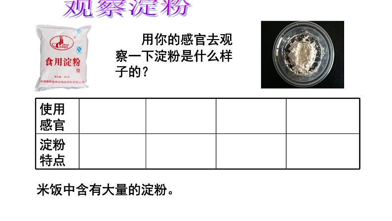 教科版（2001）科学六年级下册 2.3 米饭、淀粉和碘酒的变化(1) 课件05