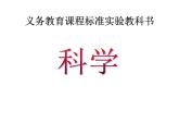 教科版（2001）科学六年级下册 2.3 米饭、淀粉和碘酒的变化 (3) 课件
