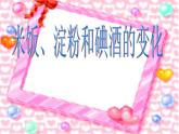教科版（2001）科学六年级下册 2.3 米饭、淀粉和碘酒的变化 (3) 课件