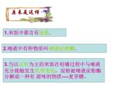 教科版（2001）科学六年级下册 2.3 米饭、淀粉和碘酒的变化 (3) 课件