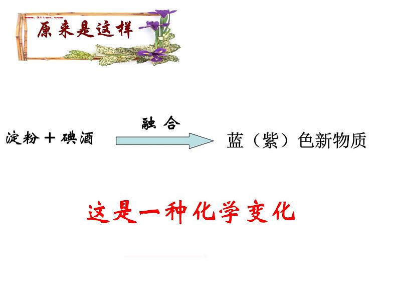 教科版（2001）科学六年级下册 2.3 米饭、淀粉和碘酒的变化 (3) 课件第7页