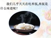 米饭、淀粉和碘酒的变化PPT课件免费下载