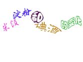 教科版（2001）科学六年级下册 2.3 米饭、淀粉和碘酒的变化(3) 课件