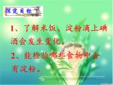 教科版（2001）科学六年级下册 2.3 米饭、淀粉和碘酒的变化(3) 课件