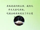 教科版（2001）科学六年级下册 2.3 米饭、淀粉和碘酒的变化(4) 课件