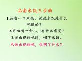 教科版（2001）科学六年级下册 2.3 米饭、淀粉和碘酒的变化(4) 课件