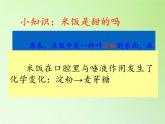 教科版（2001）科学六年级下册 2.3 米饭、淀粉和碘酒的变化(4) 课件