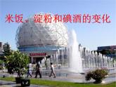教科版（2001）科学六年级下册 2.3 米饭、淀粉和碘酒的变化(2) 课件