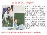 教科版（2001）科学六年级下册 2.3 米饭、淀粉和碘酒的变化(2) 课件