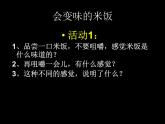 教科版（2001）科学六年级下册 2.3 米饭、淀粉和碘酒的变化(2) 课件