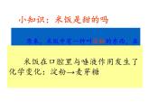 教科版（2001）科学六年级下册 2.3 米饭、淀粉和碘酒的变化(6) 课件