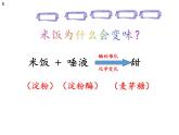 教科版（2001）科学六年级下册 2.3 米饭、淀粉和碘酒的变化(6) 课件