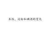 教科版（2001）科学六年级下册 2.3 米饭、淀粉和碘酒的变化(7) 课件