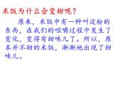 教科版（2001）科学六年级下册 2.3 米饭、淀粉和碘酒的变化(7) 课件