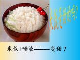 教科版（2001）科学六年级下册 2.3 米饭、淀粉和碘酒的变化(10) 课件