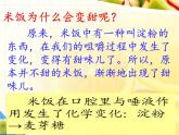 教科版（2001）科学六年级下册 2.3 米饭、淀粉和碘酒的变化(8) 课件